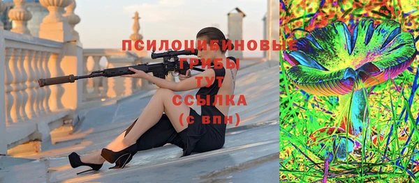 гидропоника Осинники