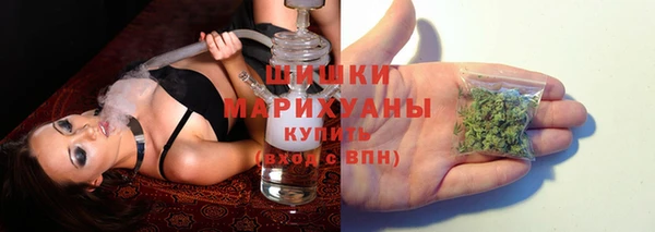 гидропоника Осинники