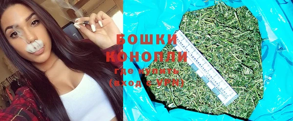 молекула духа Вуктыл