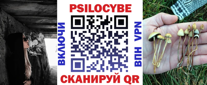 Галлюциногенные грибы прущие грибы  OMG tor  Яровое 