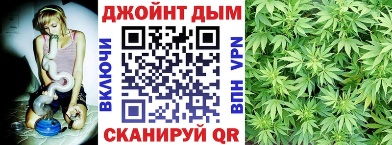 закладки Яровое Каннабис гибрид